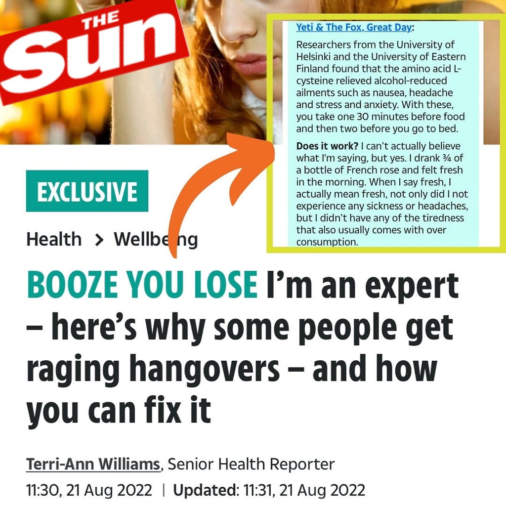 Yeti & The Fox | Sun Hangover coverage